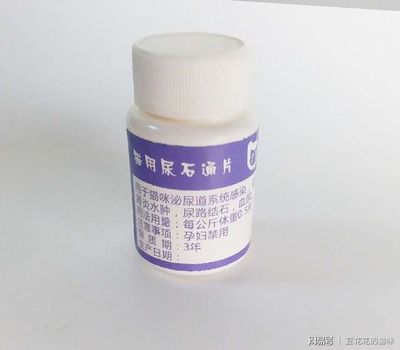 猫尿不出来 吃什么药