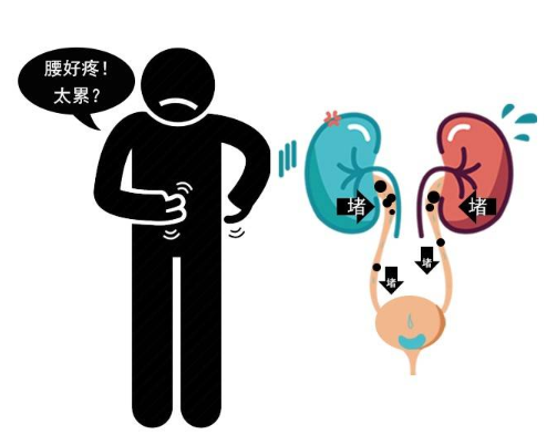 后背及左侧腹部疼痛是什么原因
