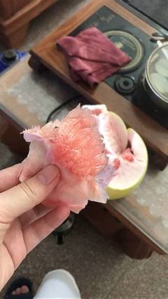 狗狗怀孕能吃什么水果