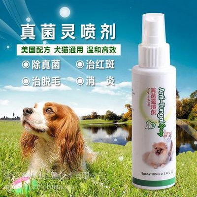 狗狗皮肤病抹什么药