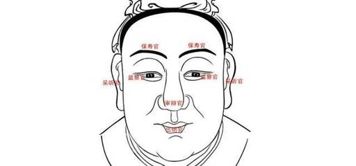 鼻子可以比喻成什么