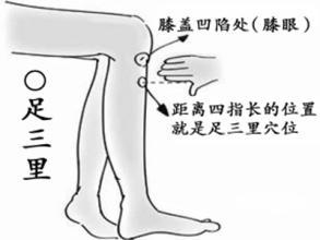 冬病指的是什么意思