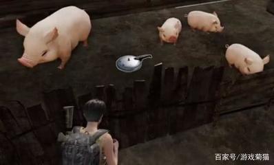 母猪总放屁什么原因