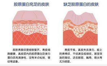 能修复的东西是什么原因是什么原因