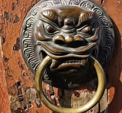 佳代表什么生肖