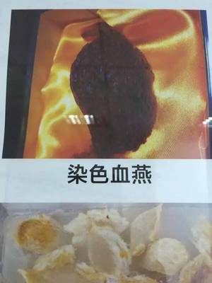 为什么香港卖血燕
