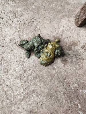 鸡鸭拉绿屎吃什么药