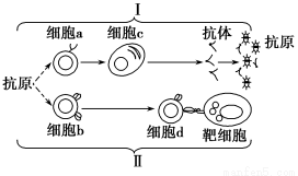 卵子排出后有什么反应