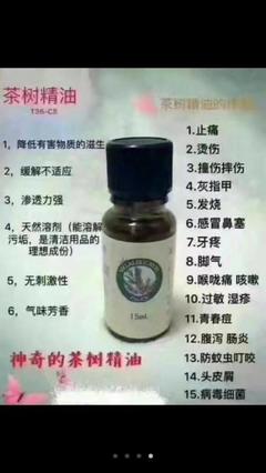 薄荷为什么可以治烫伤