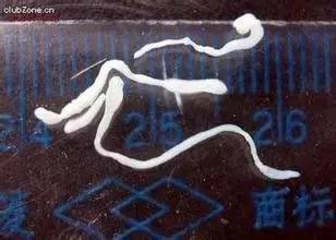 为什么脑部有虫