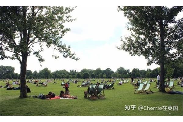 去公园野餐带什么