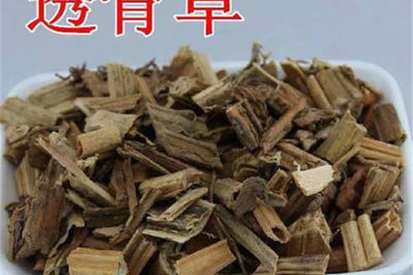 草子油作用与功效是什么意思