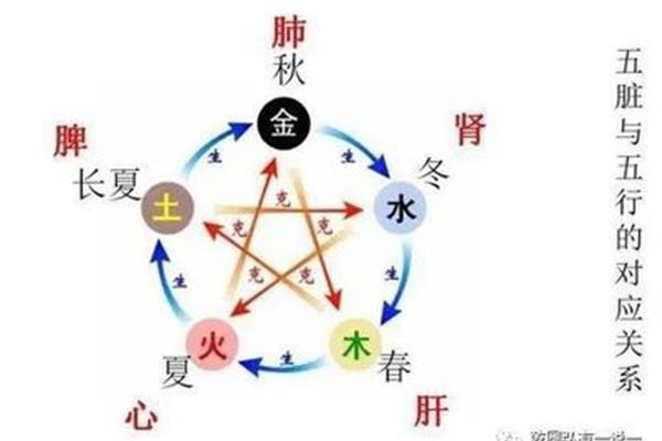 仝五行中属什么