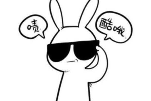 大概可以用什么代替