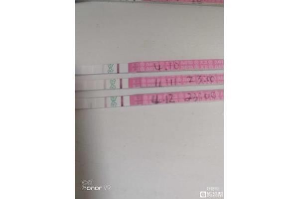 5号排卵什么时候来月经