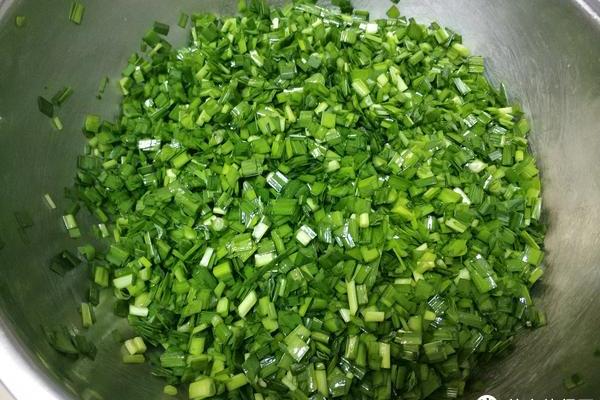 吃韭菜最忌什么