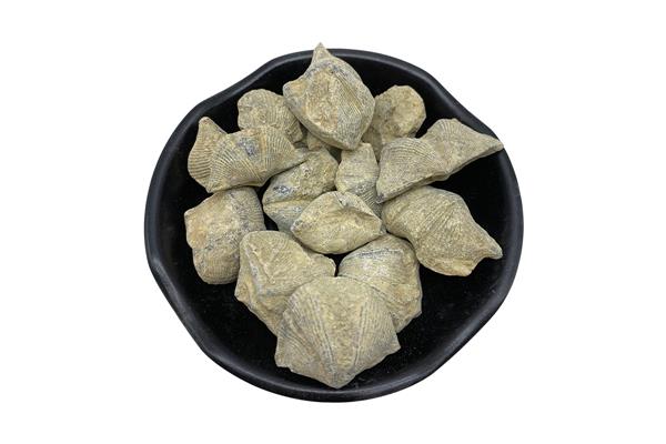 磁石中药用什么锅煎